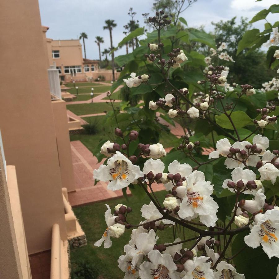 Arenas De Son Bou Hotell Exteriör bild